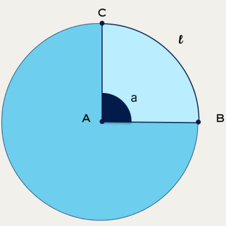 setor Circular